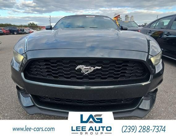 used 2015 Ford Mustang car