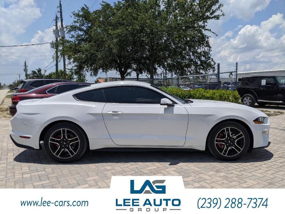 used 2019 Ford Mustang car