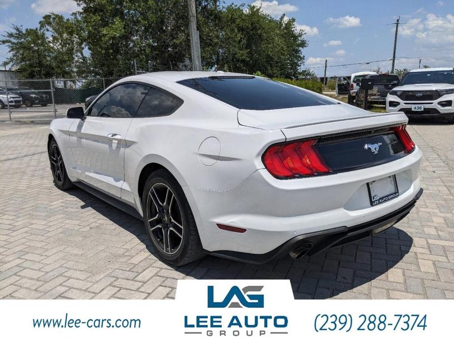 used 2019 Ford Mustang car