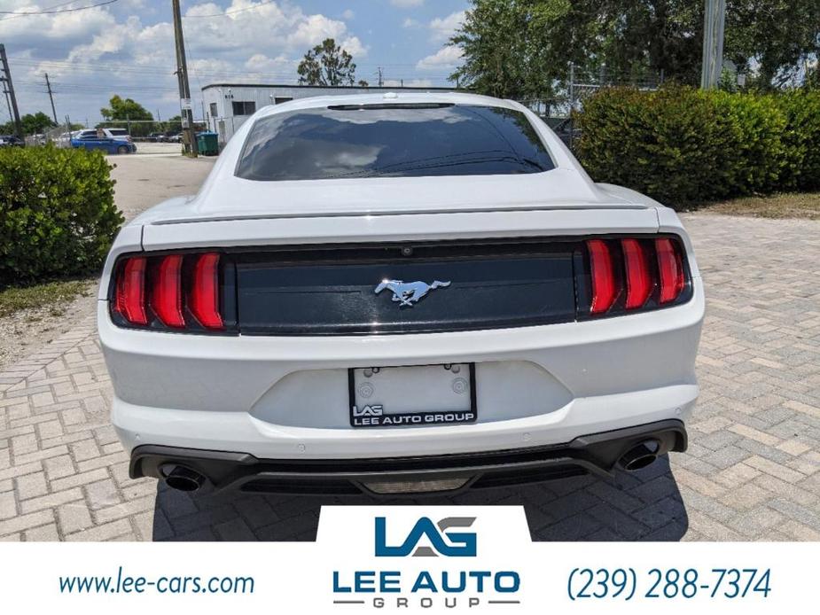 used 2019 Ford Mustang car