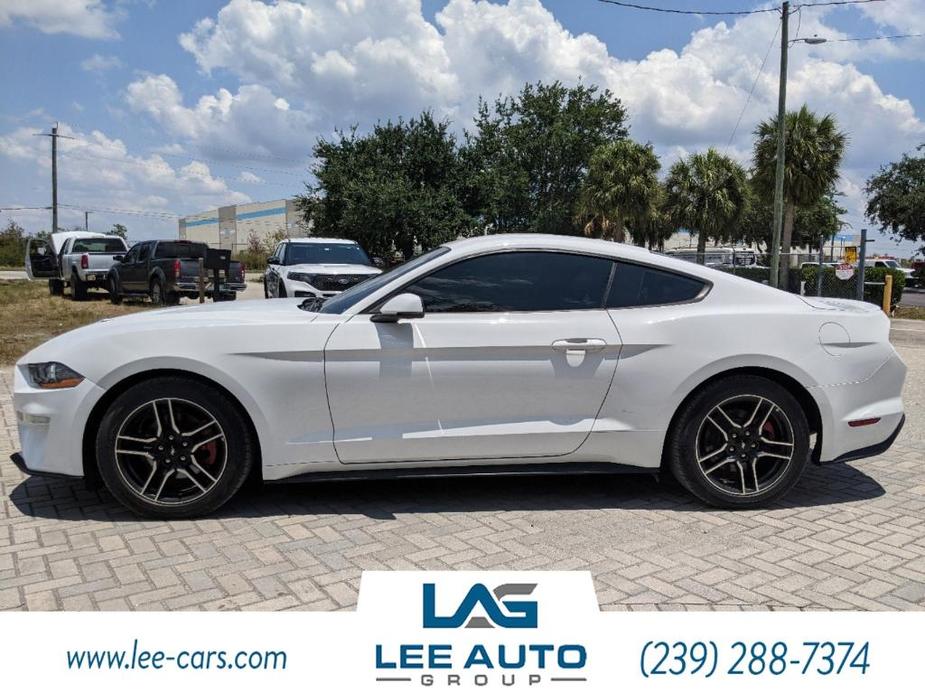 used 2019 Ford Mustang car