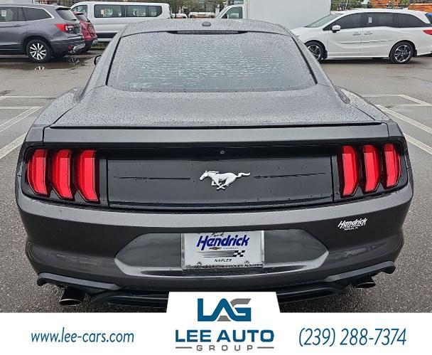 used 2019 Ford Mustang car