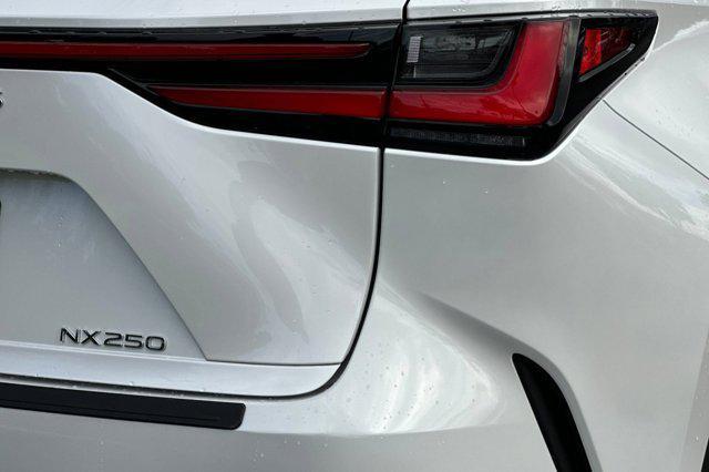 used 2024 Lexus NX 250 car, priced at $37,999