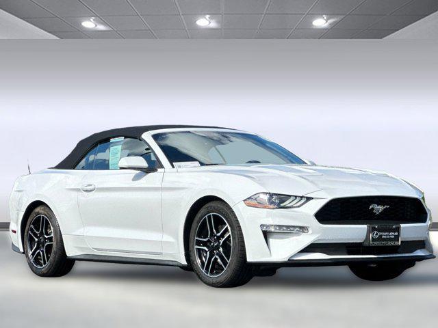 used 2022 Ford Mustang car, priced at $19,999
