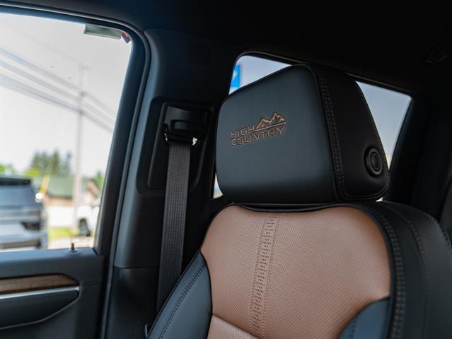 new 2025 Chevrolet Silverado 1500 car, priced at $68,315