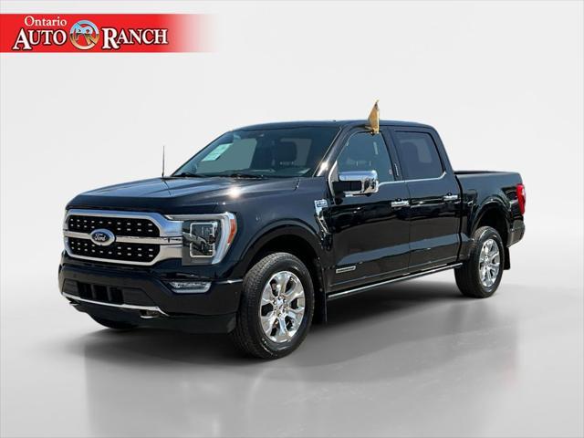 used 2021 Ford F-150 car, priced at $43,500