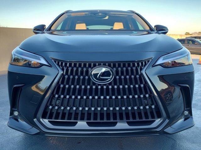 new 2025 Lexus NX 250 car