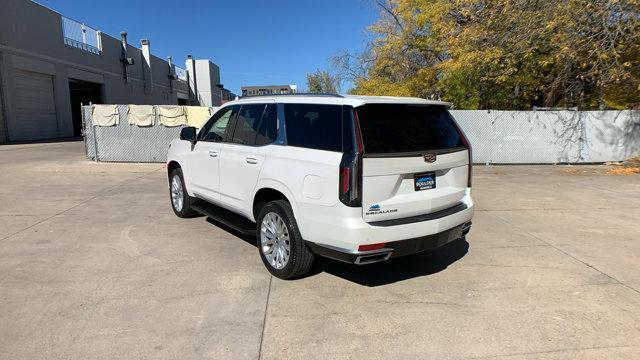 used 2022 Cadillac Escalade car, priced at $59,999