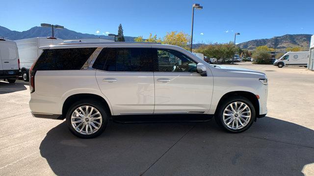 used 2022 Cadillac Escalade car, priced at $59,999