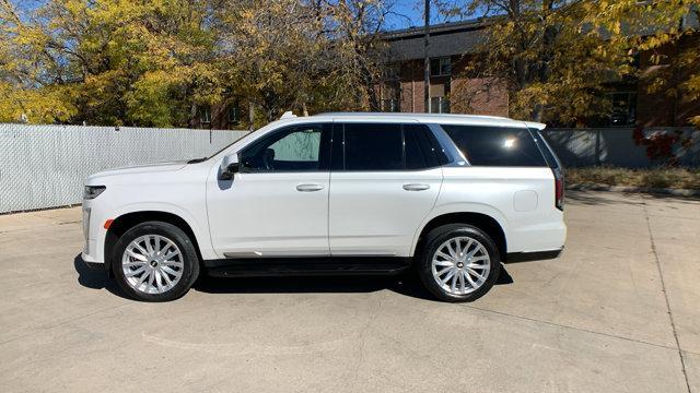 used 2022 Cadillac Escalade car, priced at $59,999