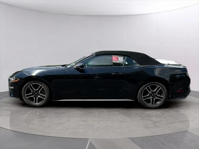 used 2023 Ford Mustang car, priced at $25,895