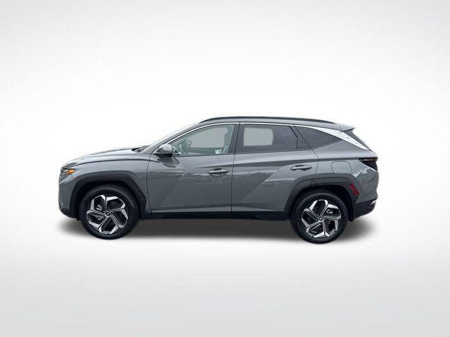 used 2024 Hyundai Tucson car, priced at $32,987