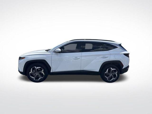used 2024 Hyundai Tucson car, priced at $28,780