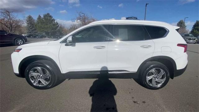 used 2023 Hyundai Santa Fe car, priced at $23,279