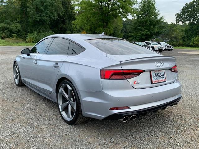 used 2019 Audi S5 car, priced at $29,995