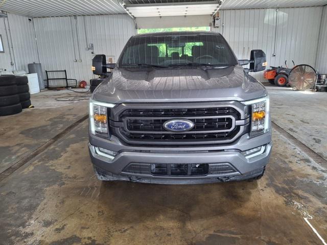 used 2023 Ford F-150 car, priced at $37,900