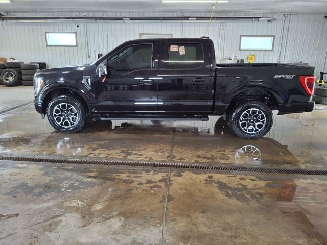 used 2023 Ford F-150 car, priced at $45,948