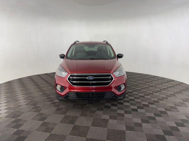 used 2019 Ford Escape car, priced at $14,500