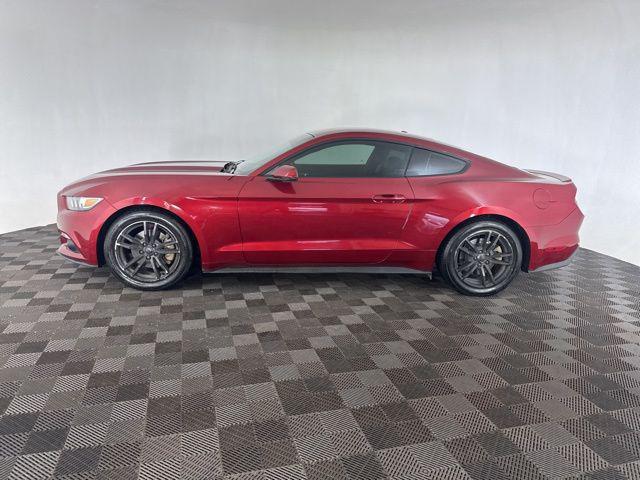 used 2015 Ford Mustang car, priced at $13,000