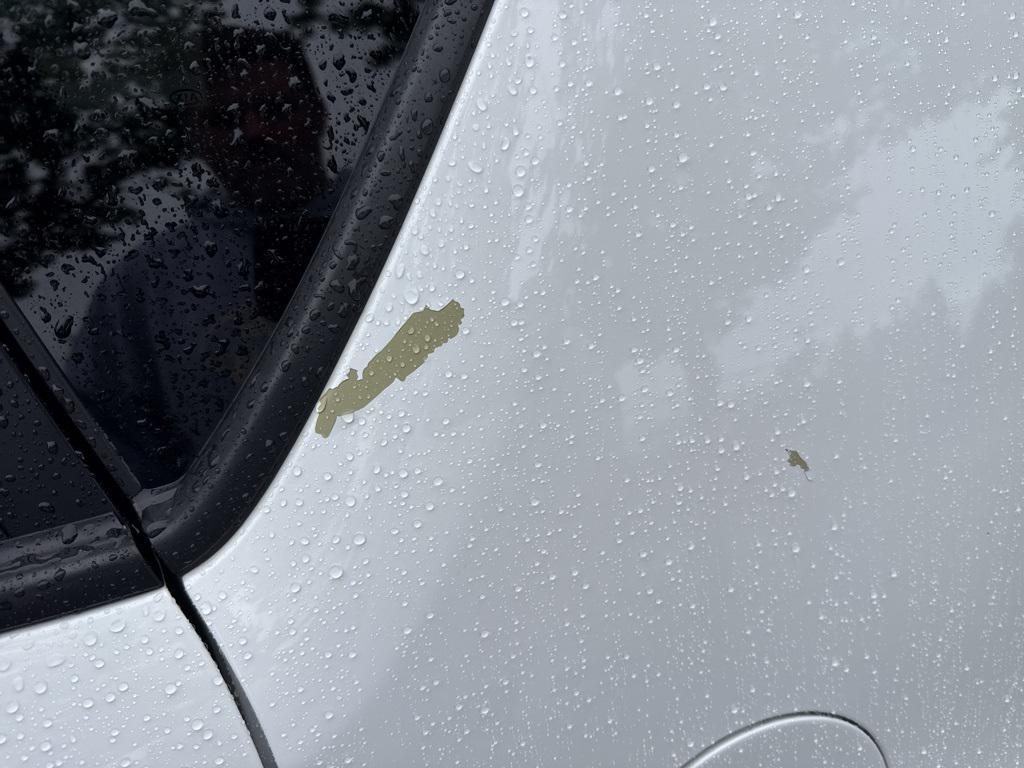 used 2014 Kia Soul car, priced at $10,000