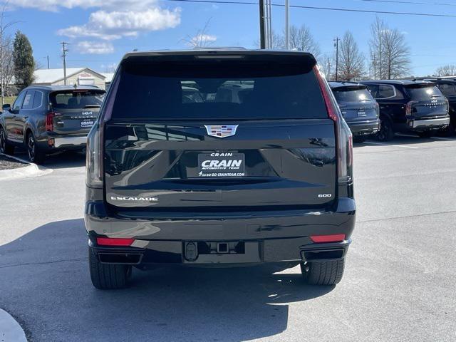 used 2023 Cadillac Escalade car
