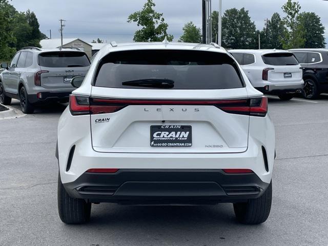 used 2024 Lexus NX 250 car