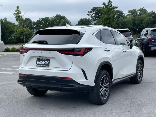 used 2024 Lexus NX 250 car