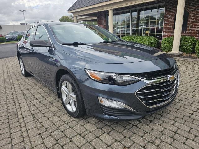 used 2019 Chevrolet Malibu car