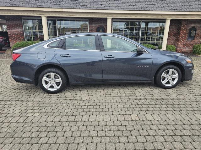 used 2019 Chevrolet Malibu car