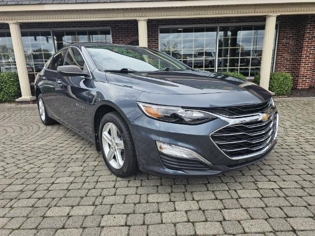 used 2019 Chevrolet Malibu car