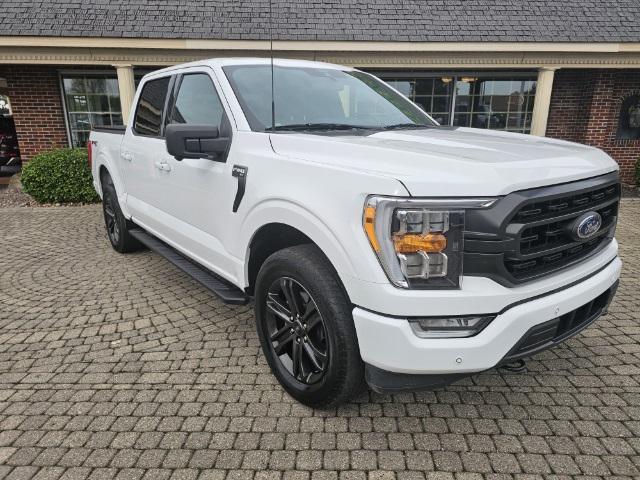 used 2021 Ford F-150 car