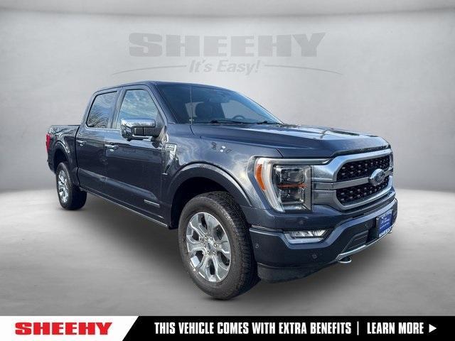 used 2022 Ford F-150 car, priced at $48,995