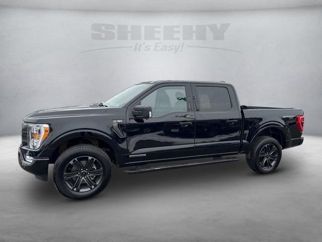 used 2021 Ford F-150 car, priced at $31,295