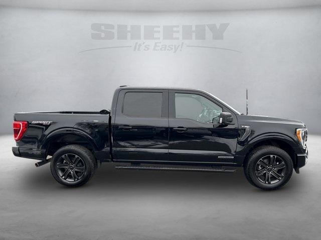 used 2021 Ford F-150 car, priced at $31,295