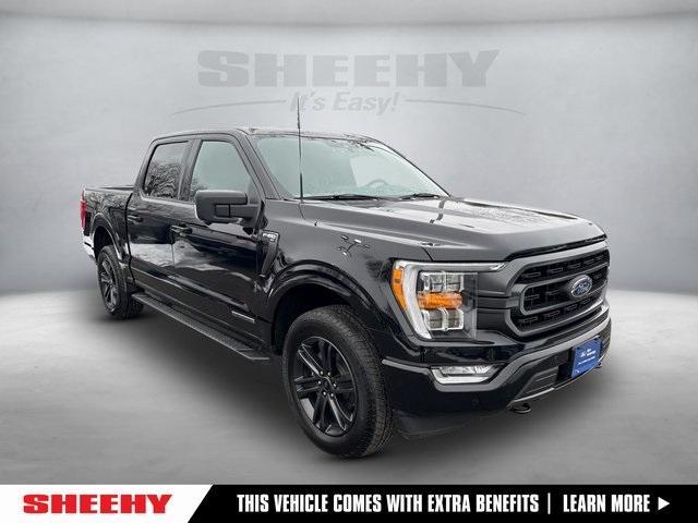 used 2021 Ford F-150 car, priced at $31,295