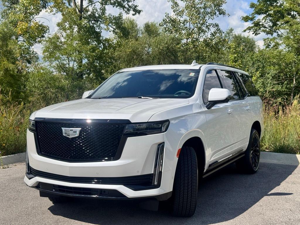 used 2024 Cadillac Escalade car, priced at $84,000