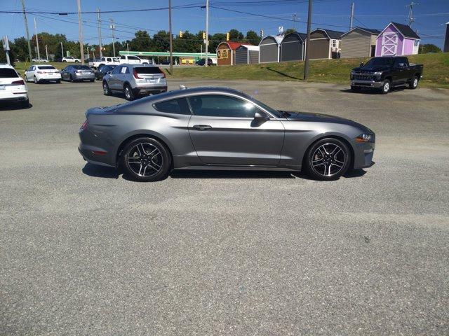 used 2021 Ford Mustang car, priced at $21,599