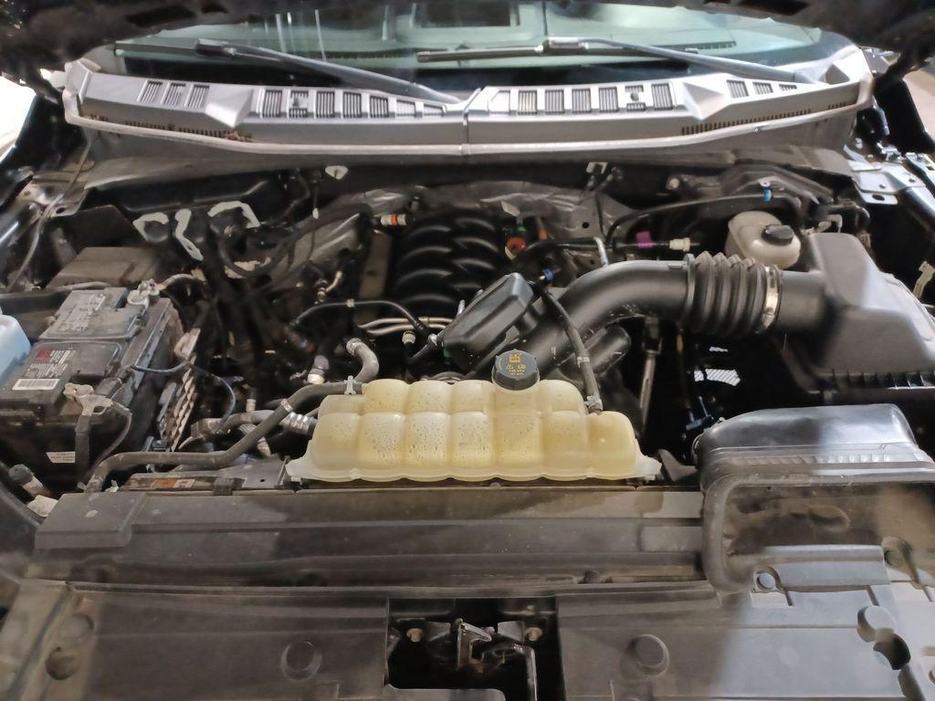 used 2019 Ford F-150 car, priced at $26,564
