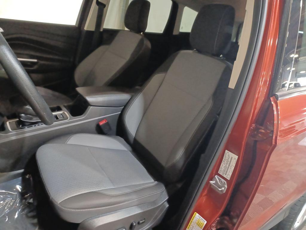 used 2019 Ford Escape car, priced at $13,822