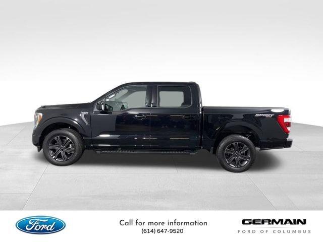 used 2023 Ford F-150 car, priced at $41,995