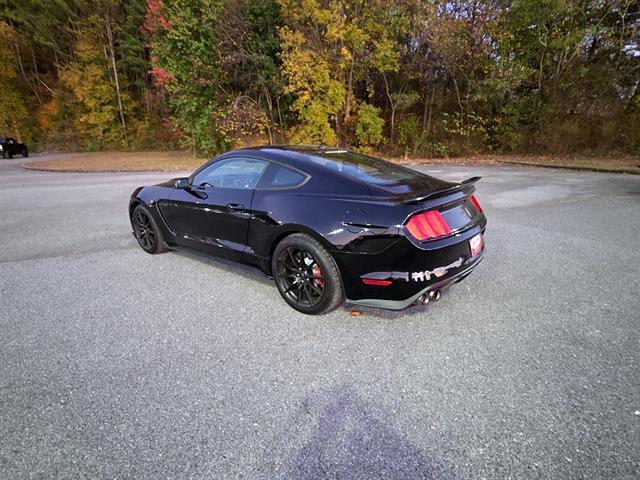 used 2017 Ford Shelby GT350 car