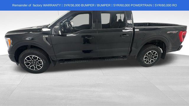 used 2023 Ford F-150 car, priced at $40,338