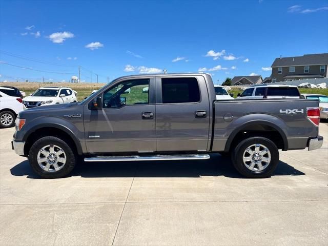 used 2013 Ford F-150 car