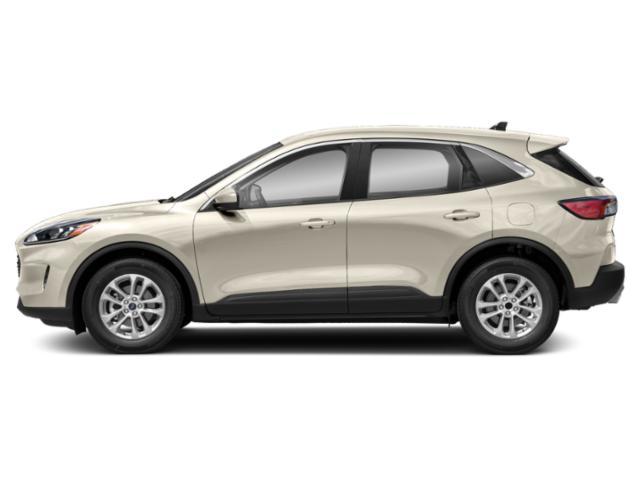 used 2020 Ford Escape car
