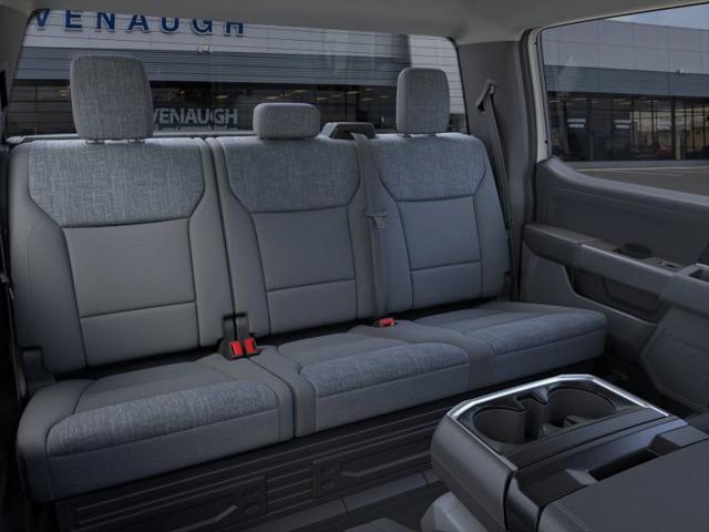 new 2025 Ford F-150 car, priced at $48,030