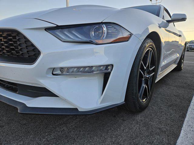 used 2019 Ford Mustang car, priced at $19,999