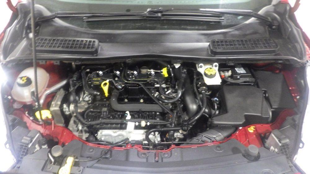 used 2019 Ford Escape car, priced at $13,900