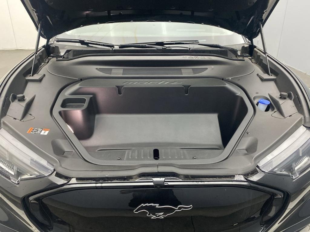 new 2025 Ford Mustang Mach-E car, priced at $49,590