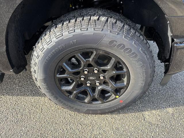 new 2025 Ford F-150 car