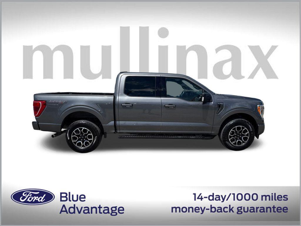 used 2023 Ford F-150 car, priced at $39,900